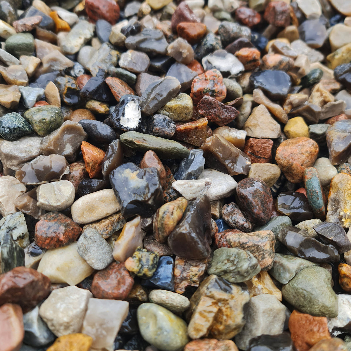 Kiesel 16-32 mm gewaschen