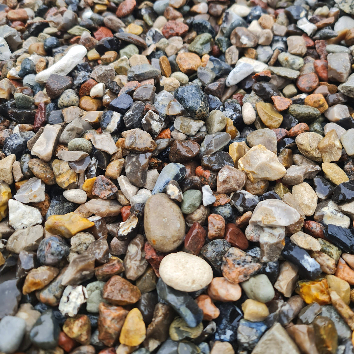 Kiesel 16-32 mm gewaschen