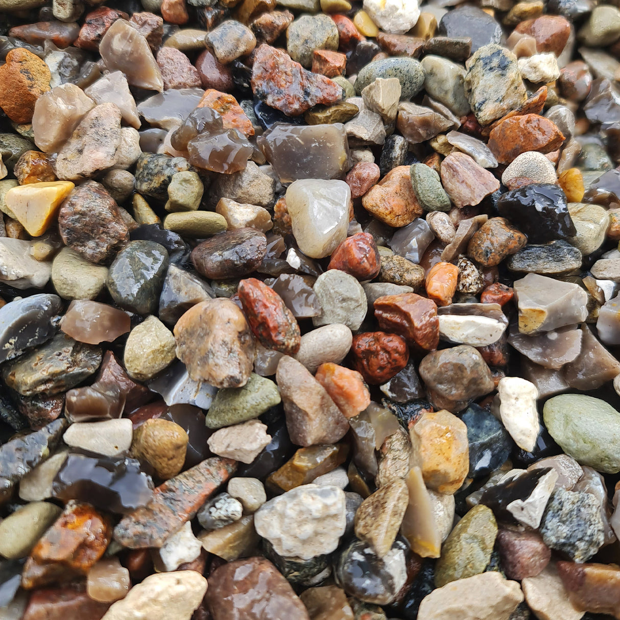Kiesel 8-16 mm gewaschen