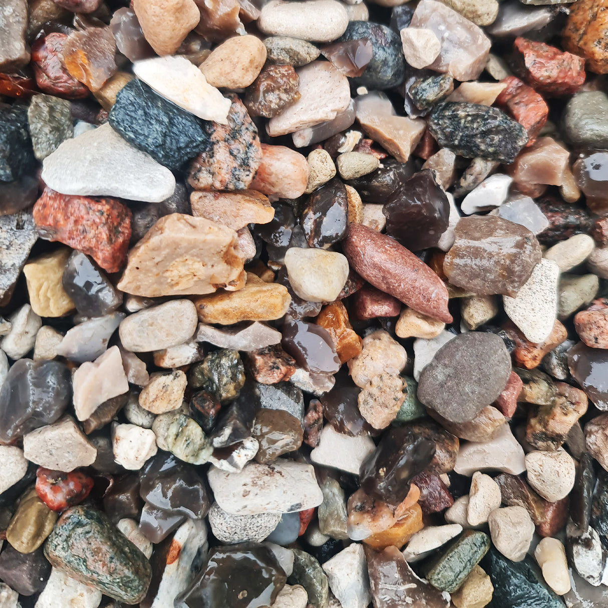 Kiesel 8-16 mm gewaschen