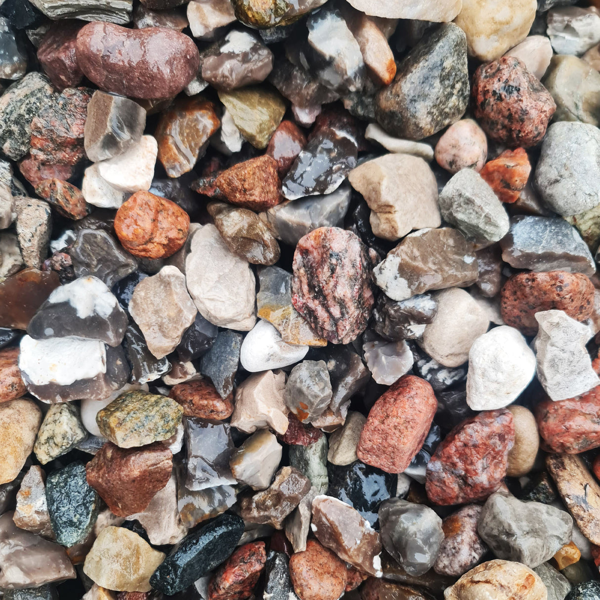 Kiesel 16-32 mm gewaschen