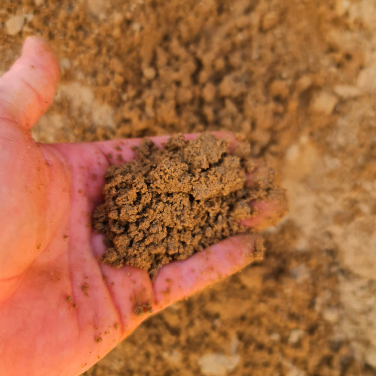 Pflastergrand 0-4 mm Bindig (lehmhaltig)