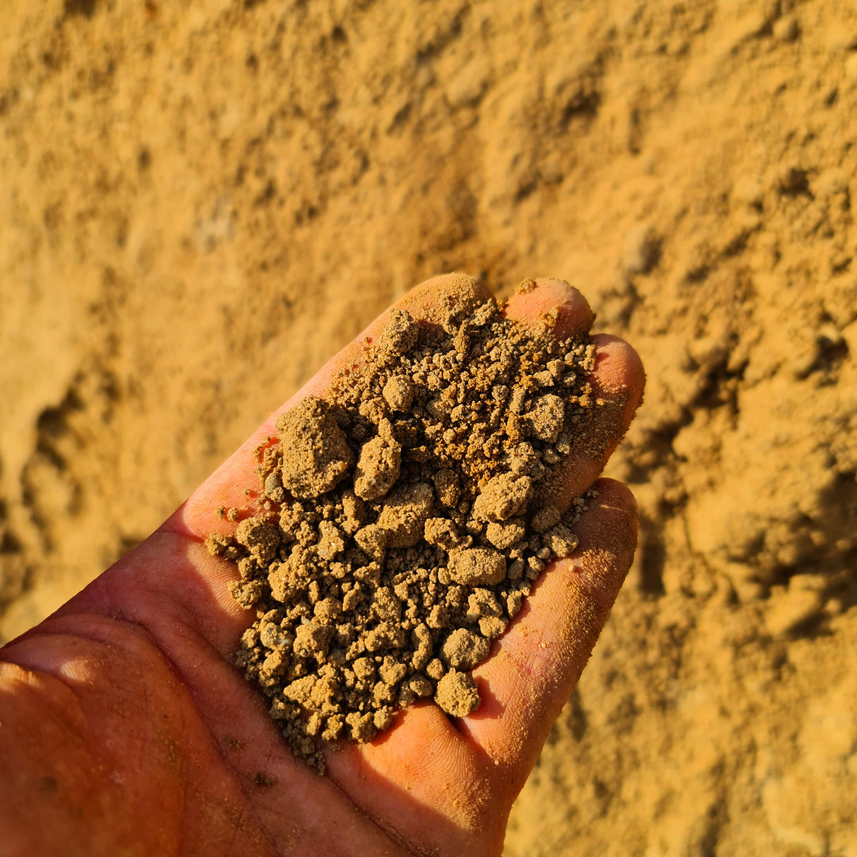 Pflastergrand 0-4 mm Bindig (lehmhaltig)