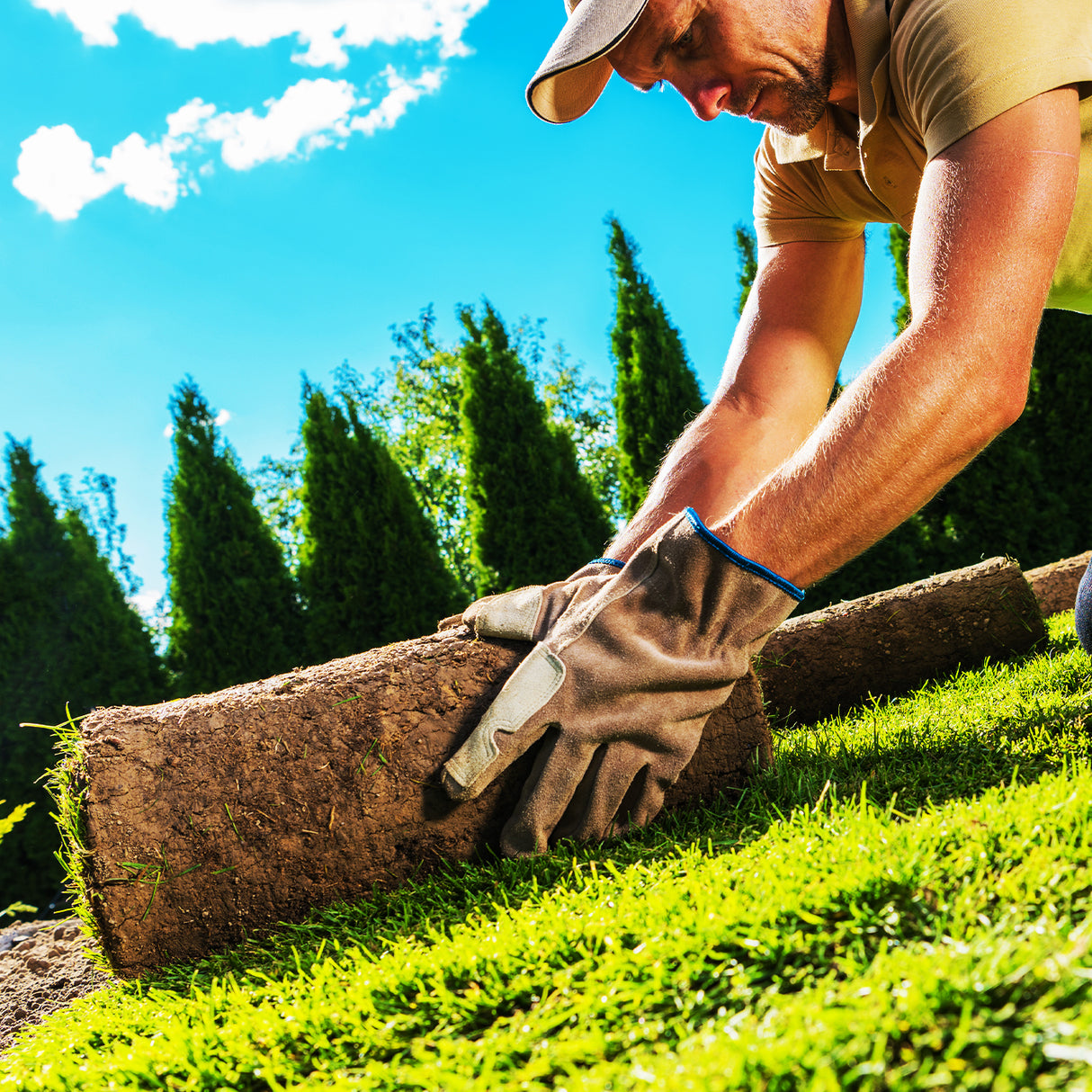 Rollrasen Spiel- und Sportrasen