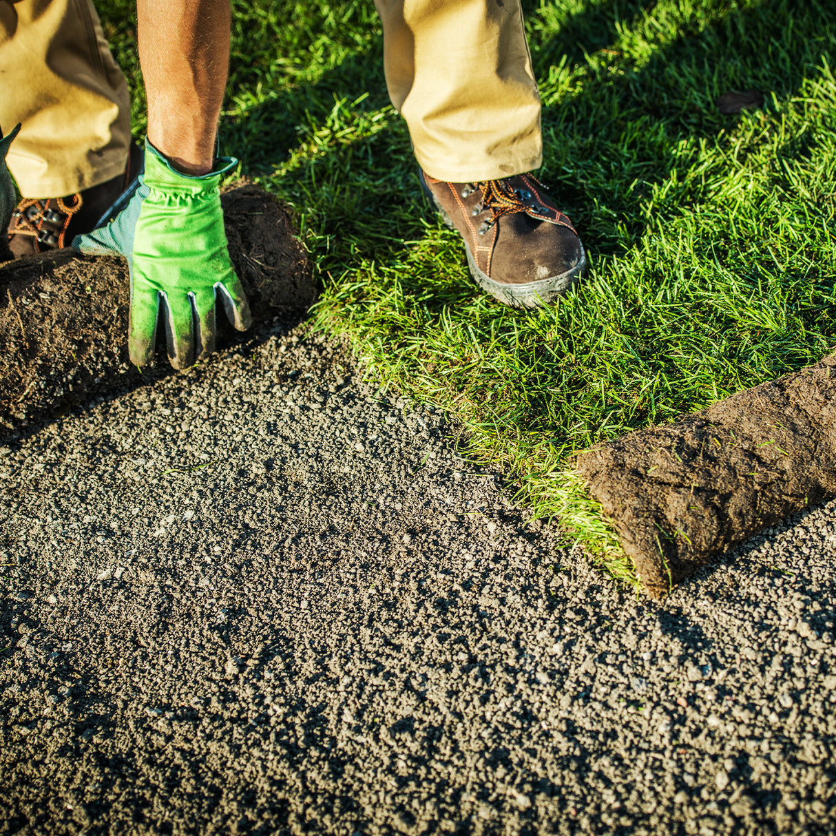 Rollrasen Spiel- und Sportrasen