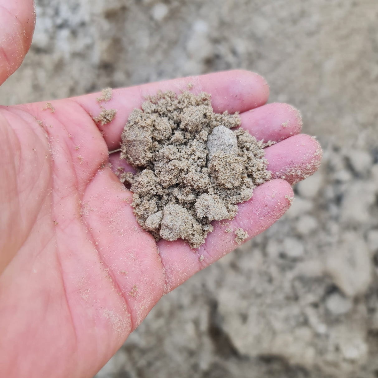 Sand 0-1 mm gewaschen