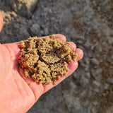 Sand 0-2 mm gewaschen